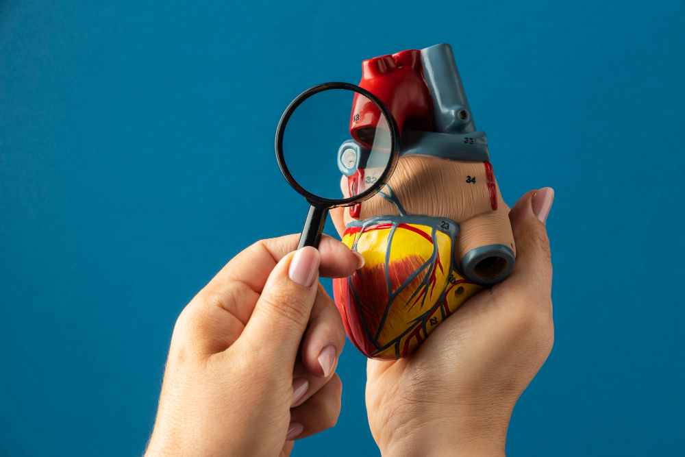 Ventricular Septal Defect (VSD)