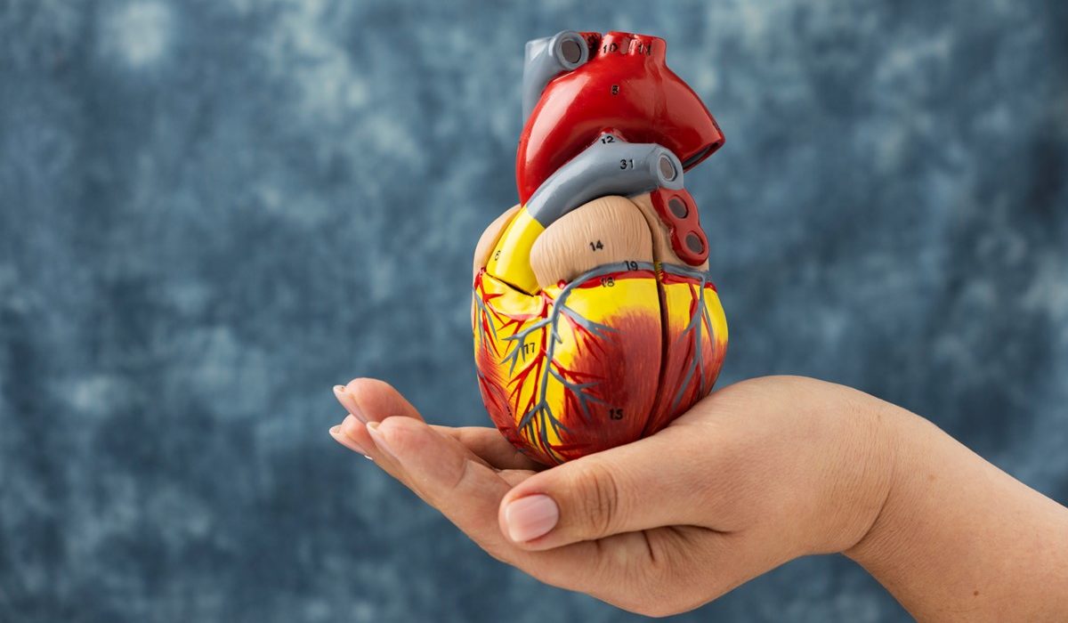 Coronary Artery Disease